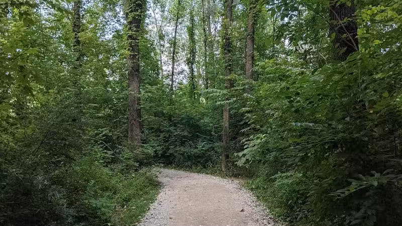 Alum Creek Dam Trail - Galena, OH