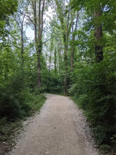 Alum Creek Dam Trail - Galena, OH