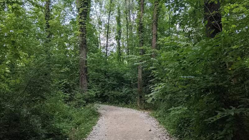 Alum Creek Dam Trail - Galena, OH
