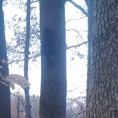 Alum Creek Hunting Area - Galena, OH