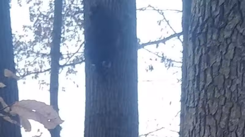 Alum Creek Hunting Area - Galena, OH