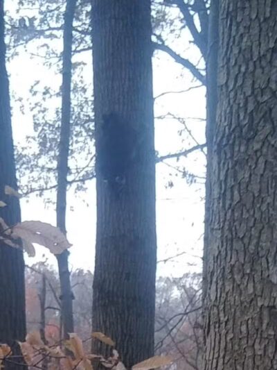 Alum Creek Hunting Area - Galena, OH