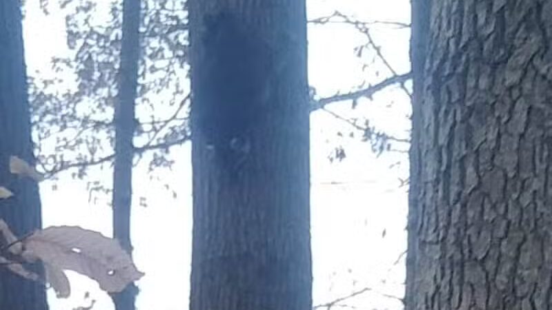 Alum Creek Hunting Area - Galena, OH