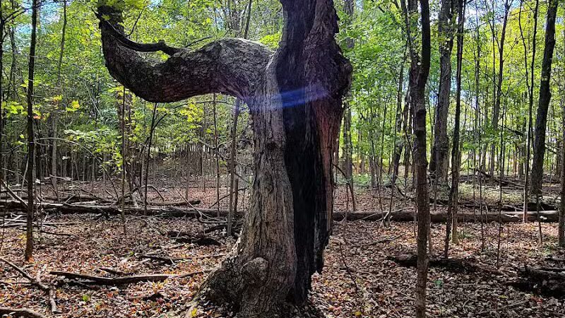 Alum Creek Hunting Area - Galena, OH