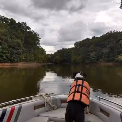 Alum Creek Hunting Area - Galena, OH