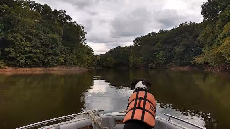 Alum Creek Hunting Area - Galena, OH