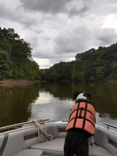 Alum Creek Hunting Area - Galena, OH