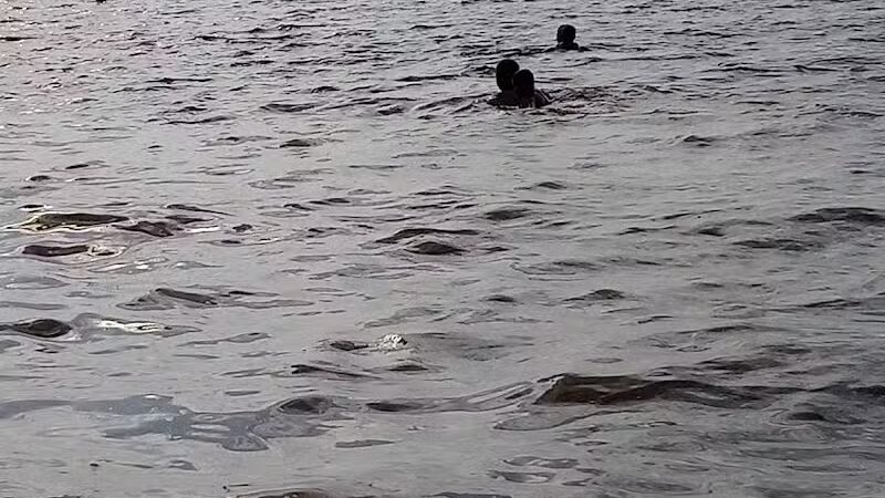 Alum Creek Mountain Bike Trail 7mi (Advanced) Phase II Trailhead - Galena, OH