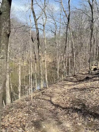 Alum Creek Mountain Bike Trail 7mi (Advanced) Phase II Trailhead - Galena, OH