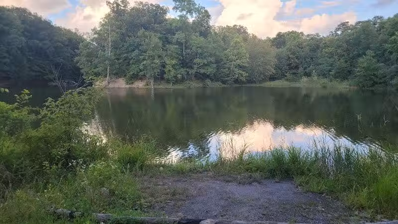 Alum Creek Mountain Bike Trail 7mi (Advanced) Phase II Trailhead - Galena, OH