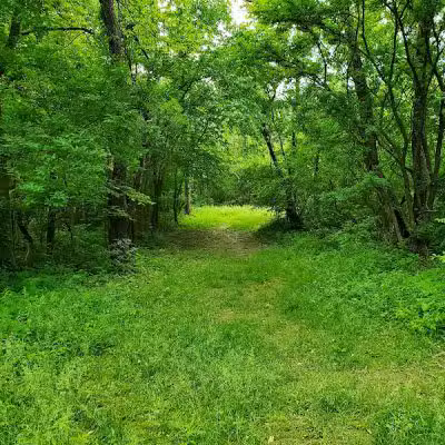 Alum Creek State Park Hiking Trail - Galena, OH