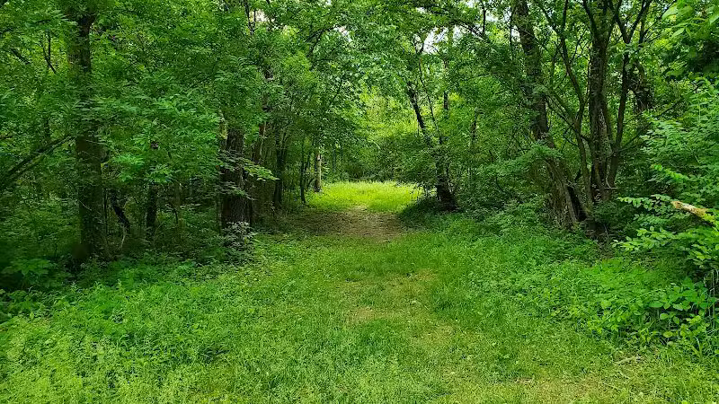 Alum Creek State Park Hiking Trail - Galena, OH