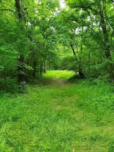 Alum Creek State Park Hiking Trail - Galena, OH