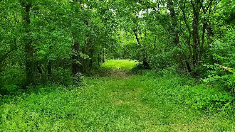 Alum Creek State Park Hiking Trail - Galena, OH