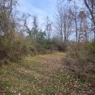 Alum Creek State Park Hiking Trail - Galena, OH