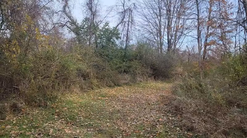 Alum Creek State Park Hiking Trail - Galena, OH