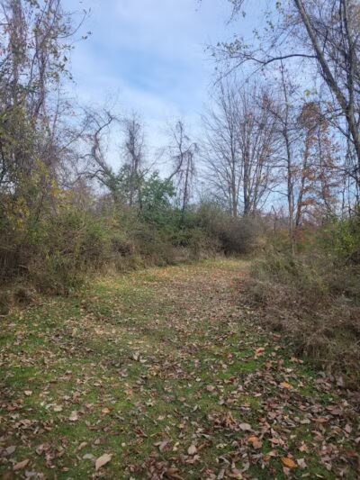 Alum Creek State Park Hiking Trail - Galena, OH