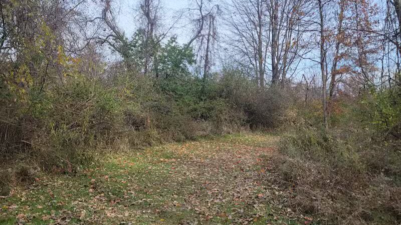 Alum Creek State Park Hiking Trail - Galena, OH