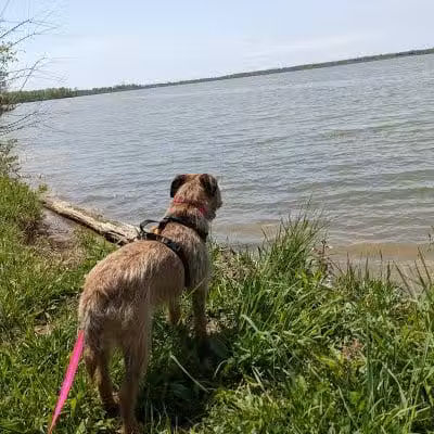 Alum Creek State Park Hiking Trail - Galena, OH