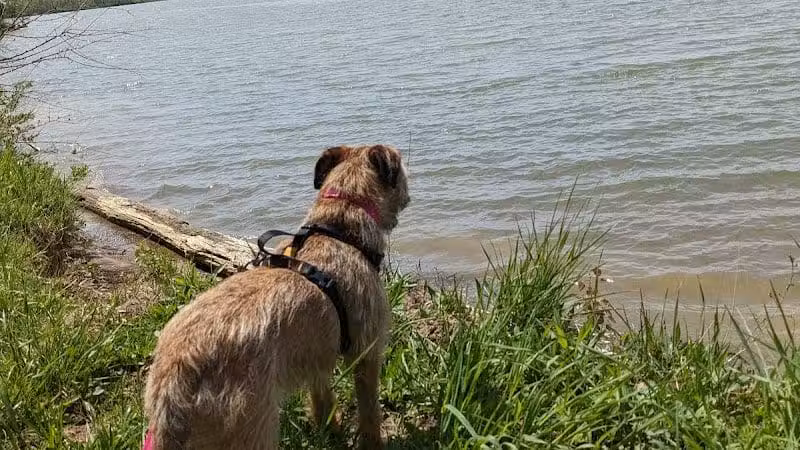 Alum Creek State Park Hiking Trail - Galena, OH