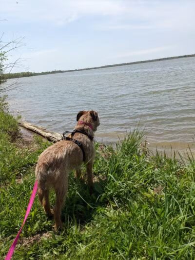 Alum Creek State Park Hiking Trail - Galena, OH