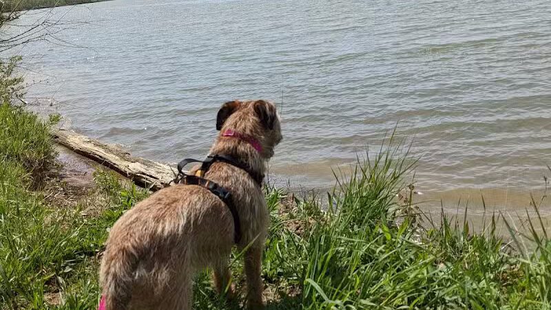 Alum Creek State Park Hiking Trail - Galena, OH