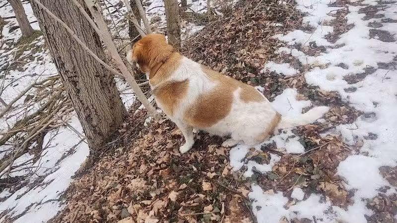 Galena Brick Trail/Ohio to Erie Trail - Galena, OH