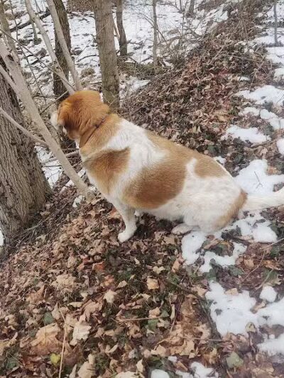 Galena Brick Trail/Ohio to Erie Trail - Galena, OH