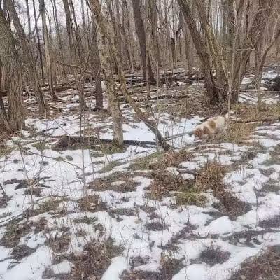 Galena Brick Trail/Ohio to Erie Trail - Galena, OH