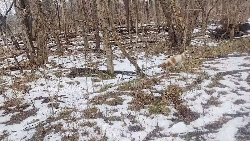 Galena Brick Trail/Ohio to Erie Trail - Galena, OH