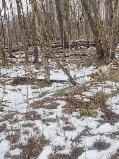 Galena Brick Trail/Ohio to Erie Trail - Galena, OH