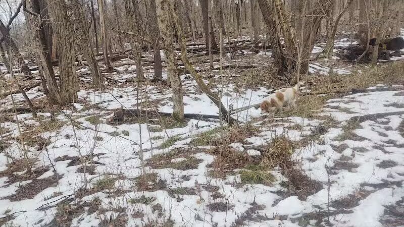 Galena Brick Trail/Ohio to Erie Trail - Galena, OH