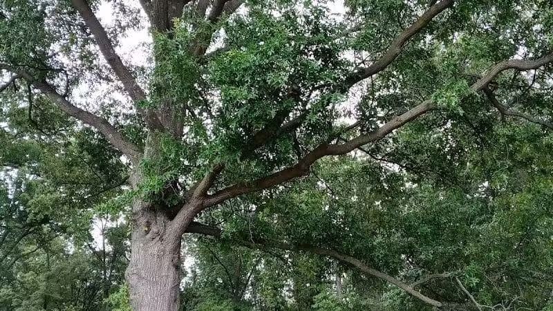 Galena Rest Area Northbound - Galena, OH