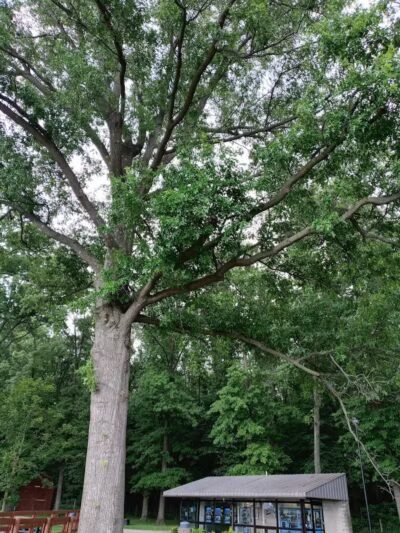 Galena Rest Area Northbound - Galena, OH