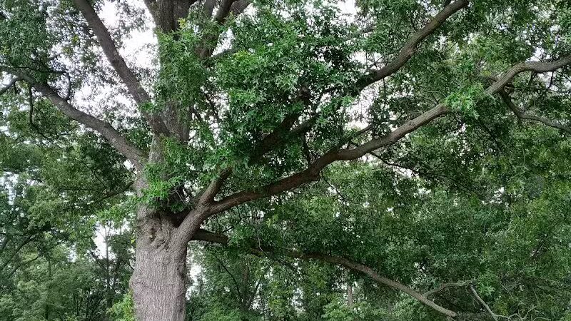 Galena Rest Area Northbound - Galena, OH