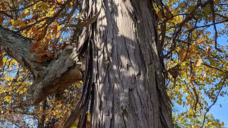 Galena Rest Area Southbound - Galena, OH