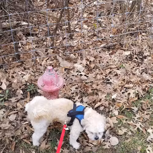 Galena Rest Area Southbound - Galena, OH