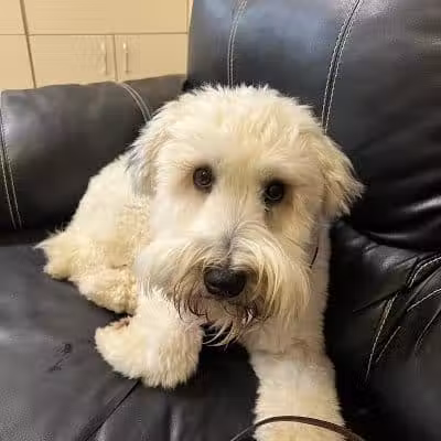 Mann Vet Clinic - Galena, OH