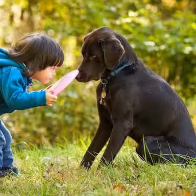 Mann Vet Clinic - Galena, OH