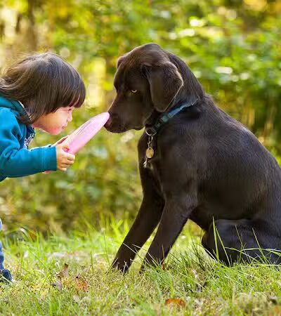 Mann Vet Clinic - Galena, OH