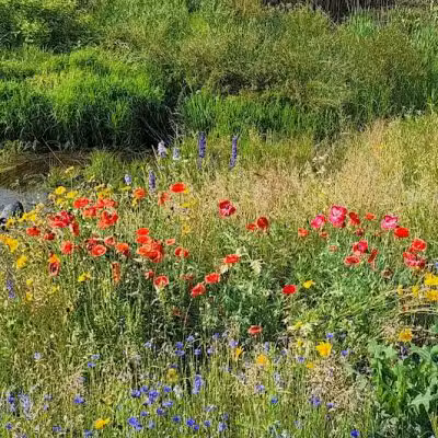 McNamara Park - Galena, OH
