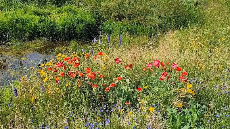 McNamara Park - Galena, OH