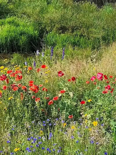 McNamara Park - Galena, OH