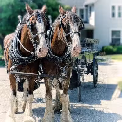Ruffner Park - Galena, OH