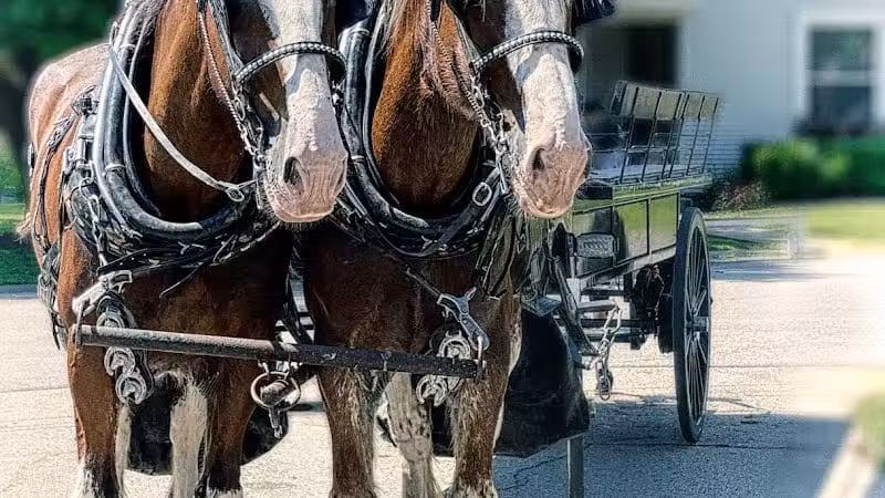 Ruffner Park - Galena, OH