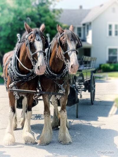Ruffner Park - Galena, OH