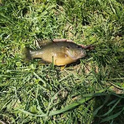 Ruffner Park - Galena, OH