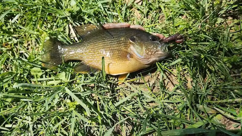 Ruffner Park - Galena, OH