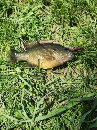 Ruffner Park - Galena, OH