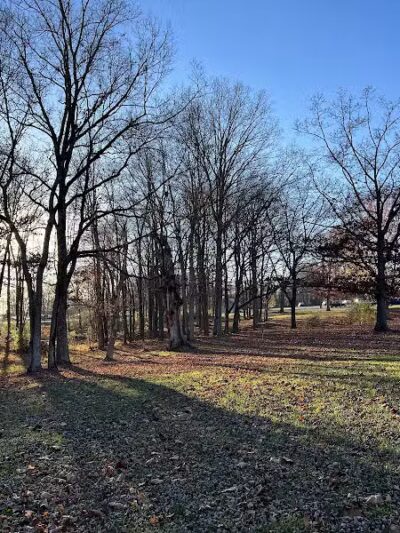 The Players Course at Alum Creek - Galena, OH